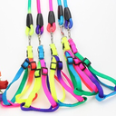 Multicolour Harness and Leash