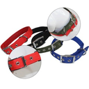 Padded Dog Collar (Small) 2.5