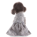 Pet Lace Dress Grey Medium