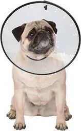 Elizabethan Collar (A7)