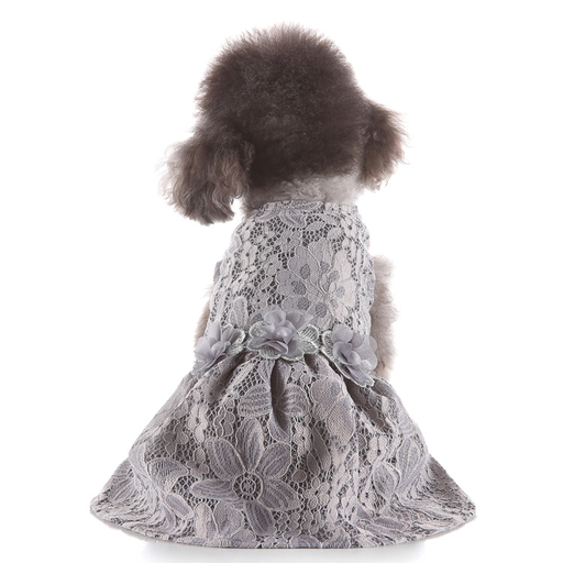 Pet Lace Dress Grey Small